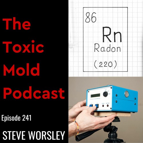 EP 241: Toxic Mold and Radon