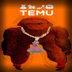 TEMU ICE