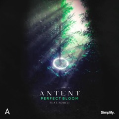 Antent - Perfect Bloom (feat. Nomeli)