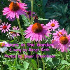 Colours in the Garden