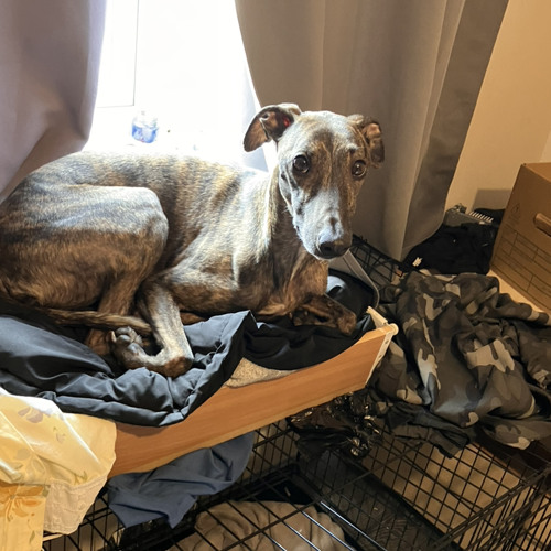 JGS & INTENT - One Time (Makina Sample)