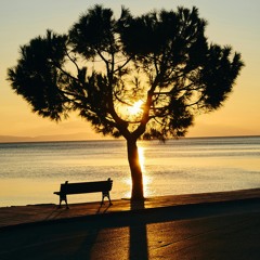 Peace of Mind - -Neil Young (Cover)