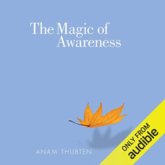 READ EBOOK 📝 The Magic of Awareness by  Anam Thubten,Sharon Roe,Fred Stella,Audible