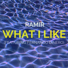 WHAT I LIKE (feat. Fernando Dinero)