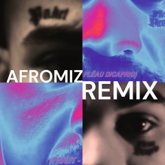 PAKET - Fléau Dicaprio (Afromiz remix) (Afromiz 20)