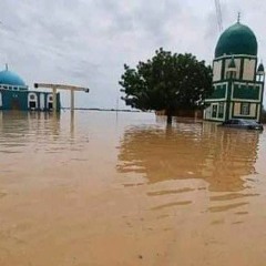 إلهى صلى على الخيارا كلمات حاج الماحي اداء اولاد حاج الماحي