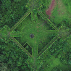 Muerte Carnaval. kyto