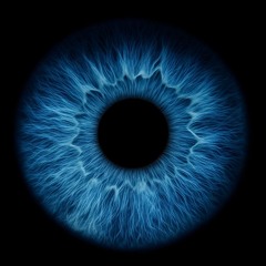 Euphoria 061 | Selch