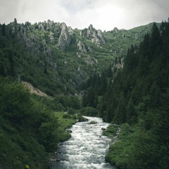 The River