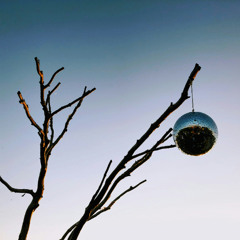 Disco-very