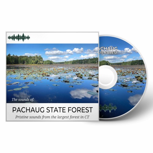 The Sounds of Pachaug State Forest