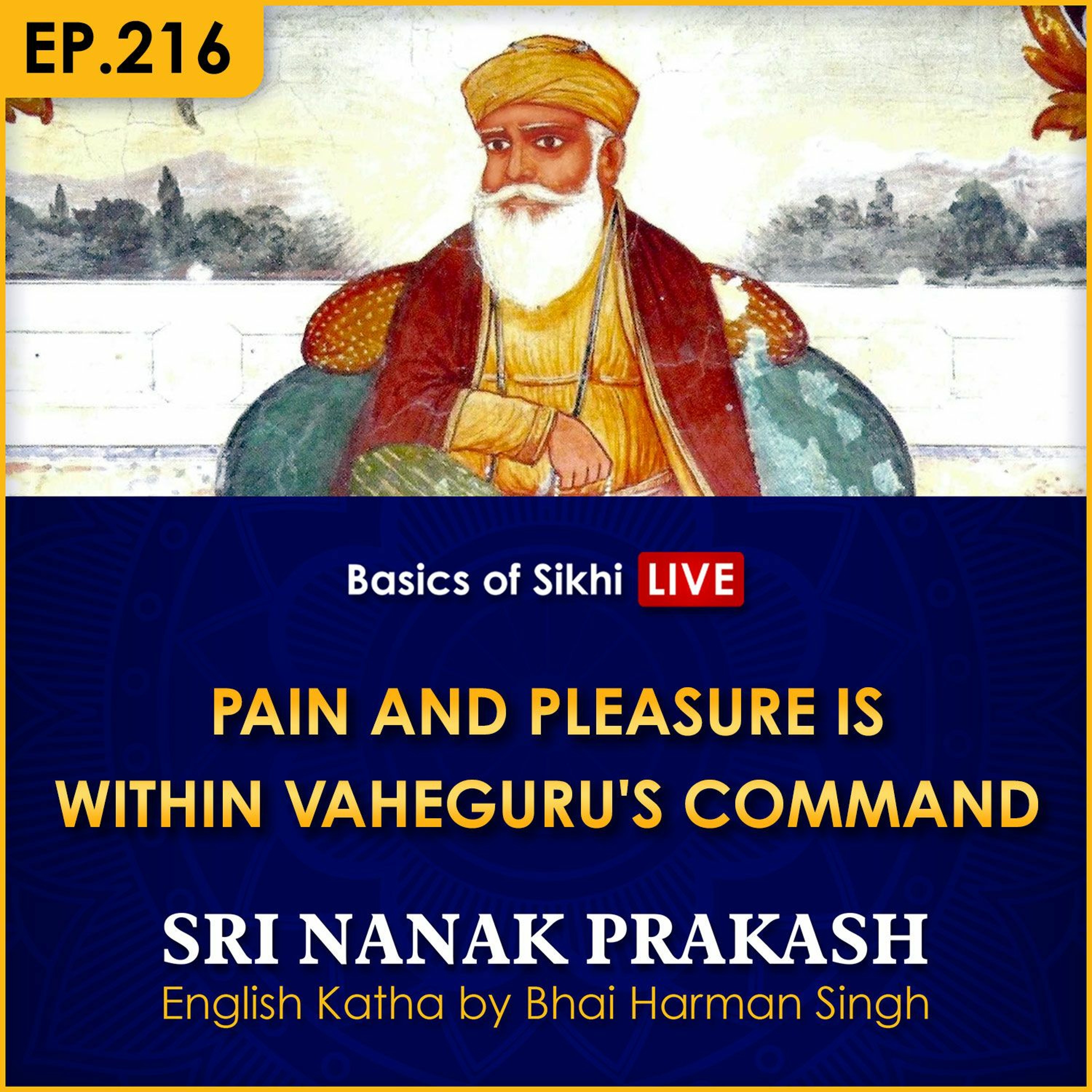 #216 Pain and Pleasure is within Vaheguru's Command | Sri Nanak Prakash Katha | Bhai Harman Singh episode artwork
