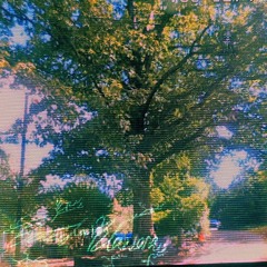 Steppenwolf (Ode to Stagnation)