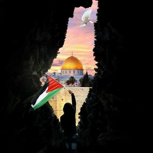 Stream Jehad Murrar | Listen to Palestine playlist online for free on  SoundCloud