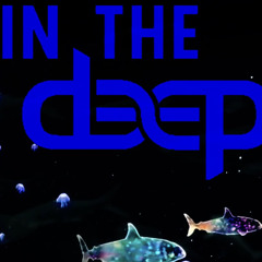 dolphin talk 145bpm_HD.wav