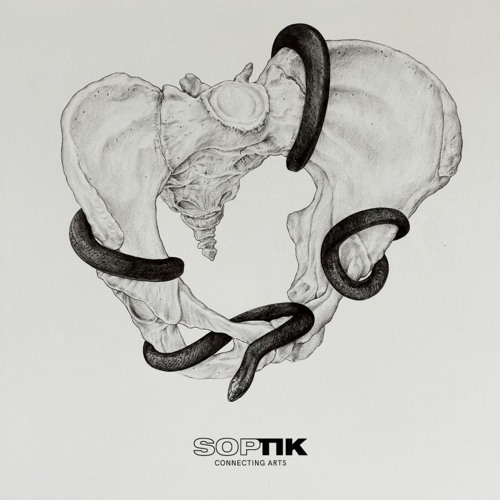 Houston Stiller - Snakes And Bones III [SPTK-D005 | Premiere]