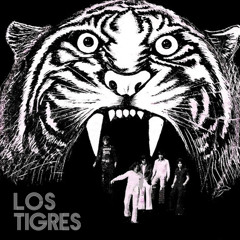 Los Tigres - Amor Sincero