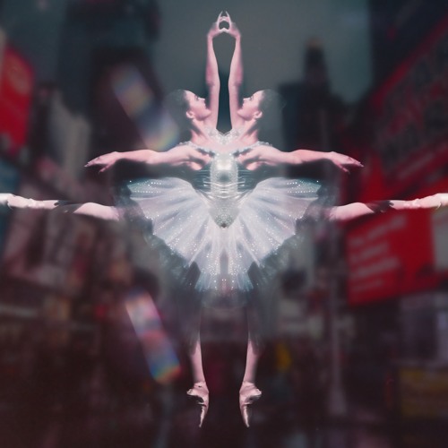 Cover for We Should Be Dancing