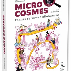 Microcosmes - L histoire de France à taille humaine  sur Amazon - DG1rFFgbqX