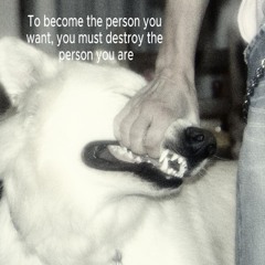 To become the person you want, you must destroy the person you are (extended version + full audio)