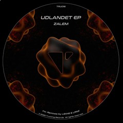 PREMIERE: Zalem - Udlandet (Original Mix)[TRU016]