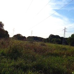 SummertimeSadness