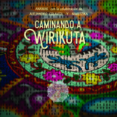 Wimakwaxa Mieme II (feat. Niwetzika)