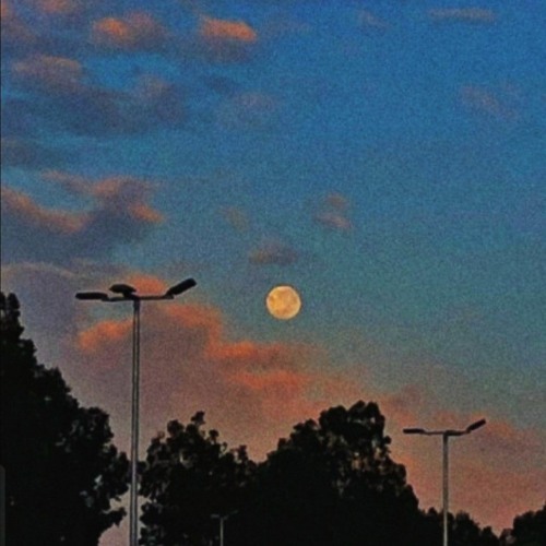 이승윤 - 달이 참 예쁘다고 (How Pretty the Moon is)