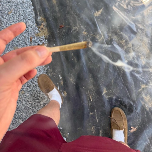 forbidden fruits (prod. nat)