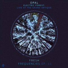 Fresh Frequencies Ep. 11: Opal - Live at Electric Forest Festival
