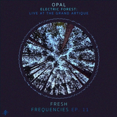 Fresh Frequencies Ep. 11: Opal - Live at Electric Forest Festival