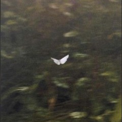 Odarka - Behind(XZSKY remix)