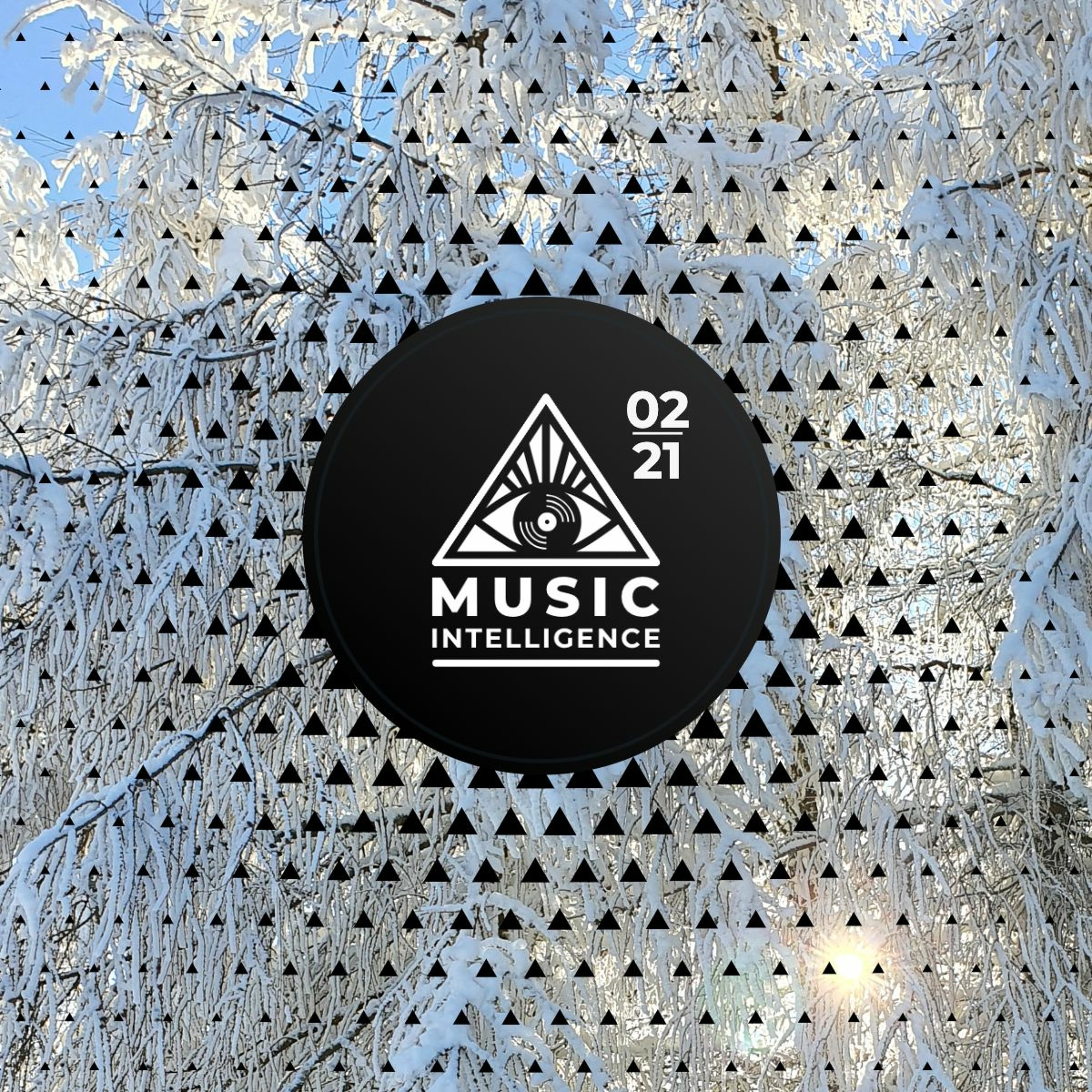 Music Intelligence Podcast