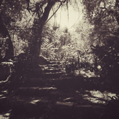 i keep trying but nothing seems to work