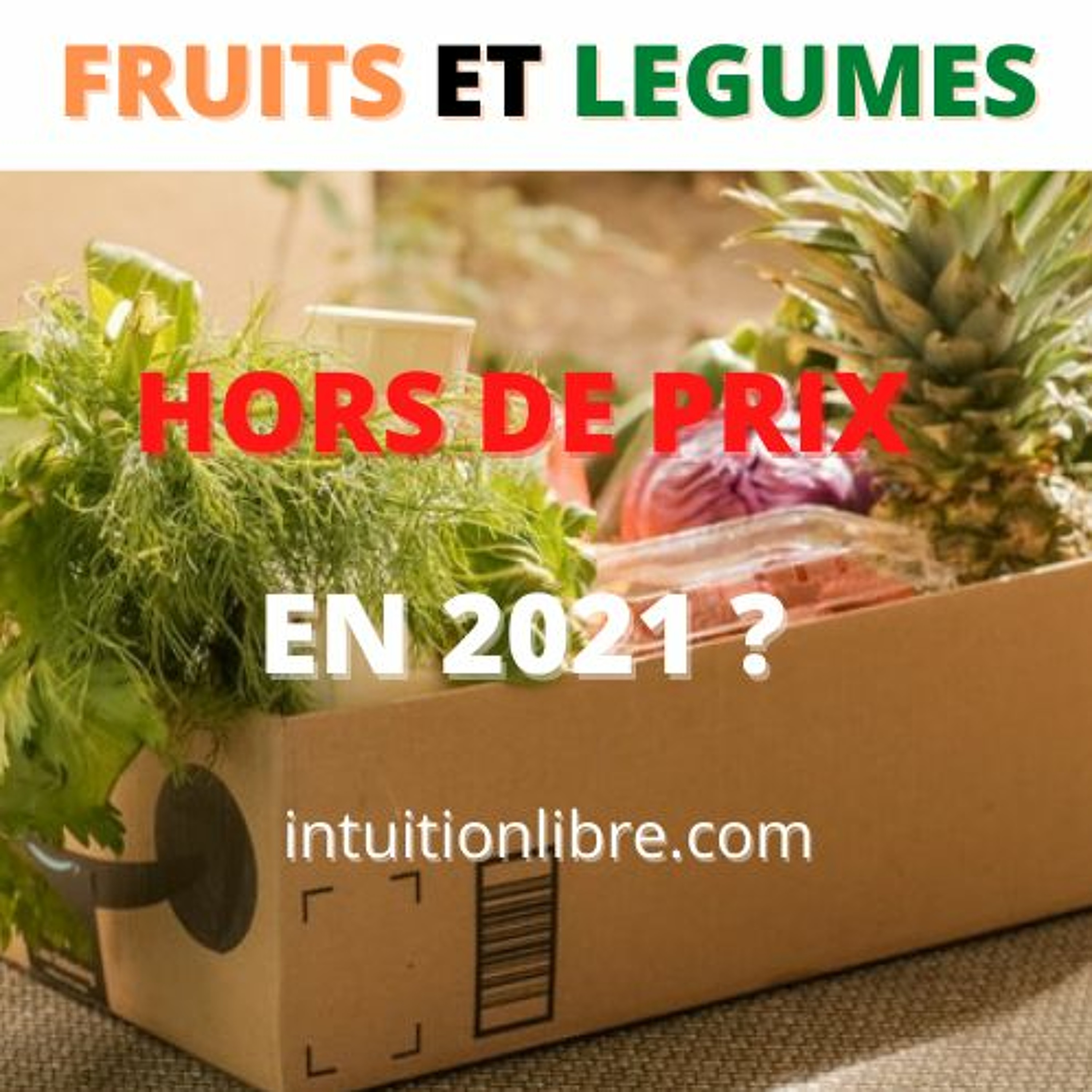 intuitionlibre.com actu vue par la voyance
