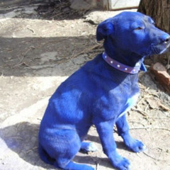 иногда хочется пощупать друг друга за половые органы