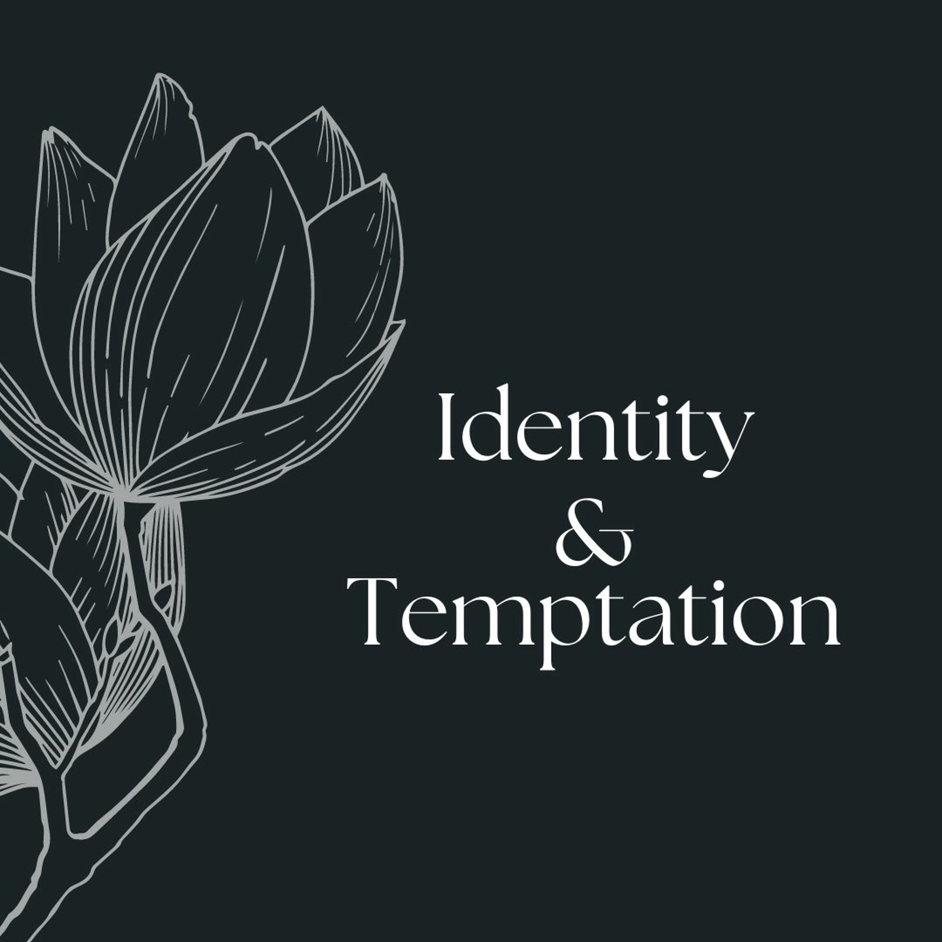 Identity & Temptation - David A episode artwork