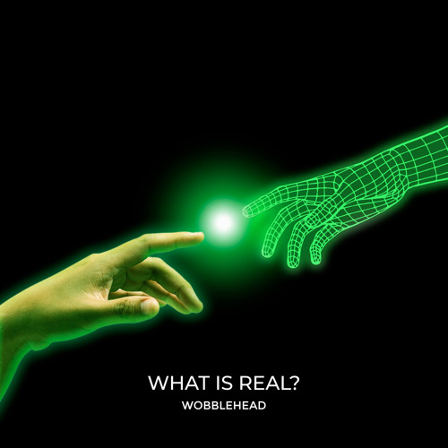 Stream What Is Real? by Wobblehead Listen online for free on SoundCloud