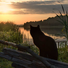 ksiazekotek daleko stad