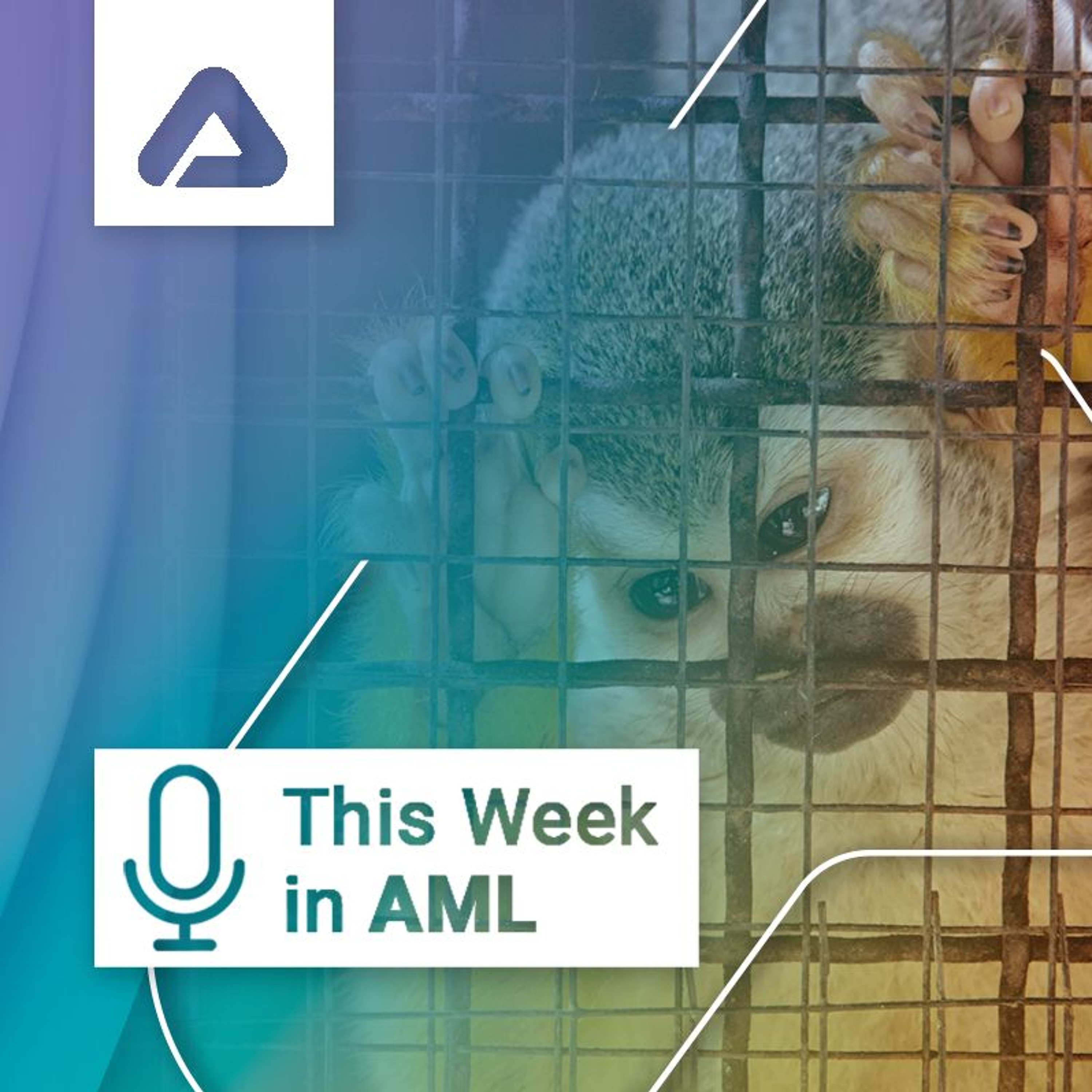 Wildlife Trafficking, Payment Fraud in the EU, Fentanyl in Canada, and Much More episode artwork
