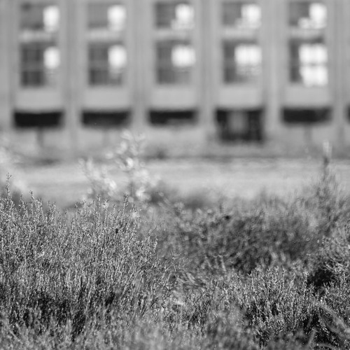 Fearmongering has to stop !  - Mr.Black.Mystery