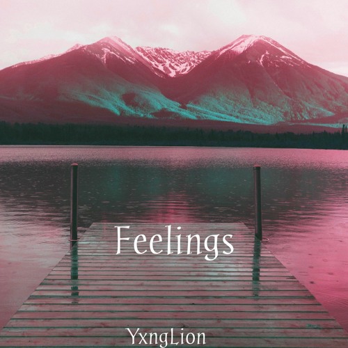 Feelings