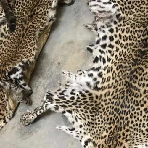 How To Spread The Word About Your Buy CS2 Skins The Secret Of Buy CS2 Skins