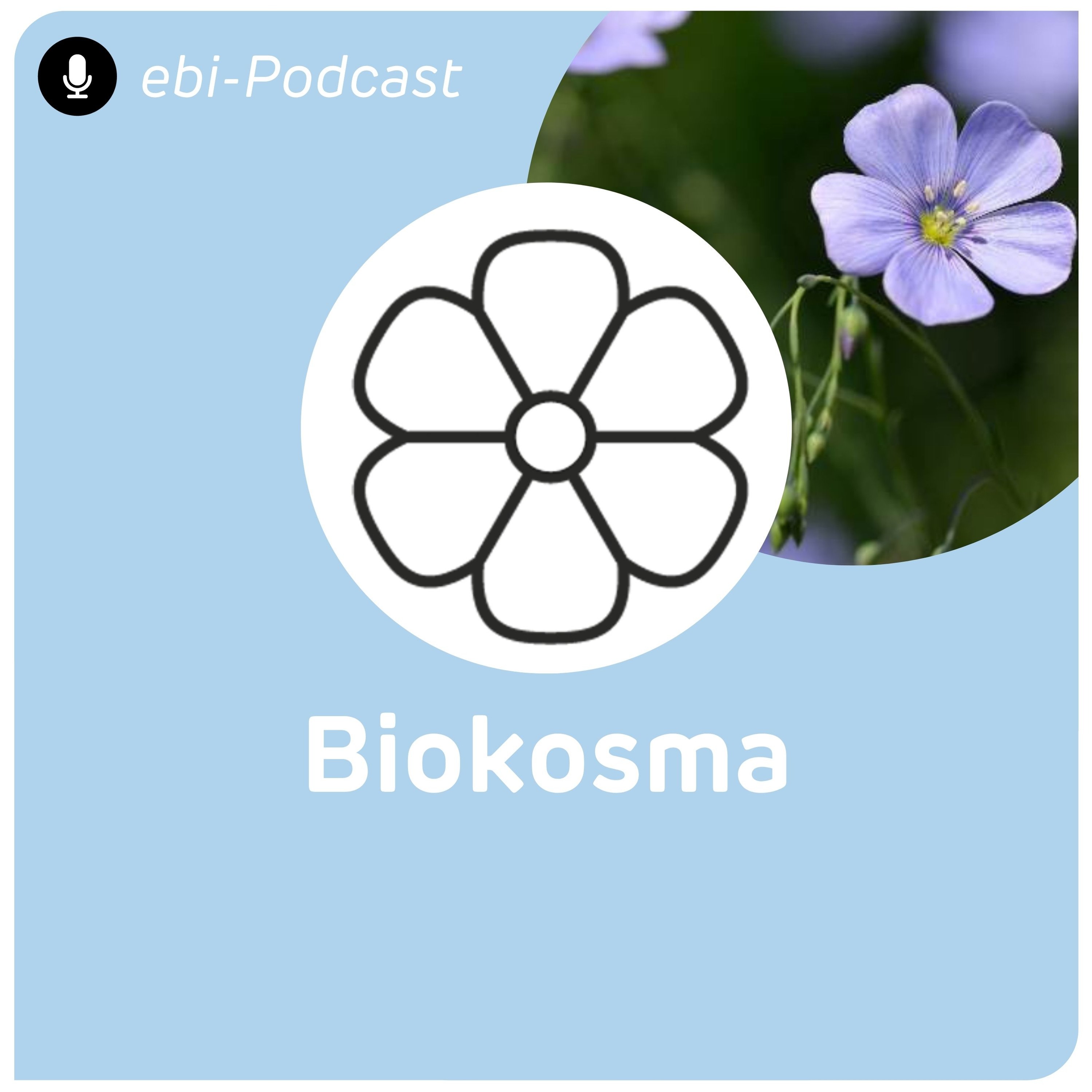 ebi-Podcast