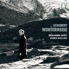 Die Winterreise, D. 911: II. Die Wetterfahne