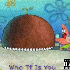 TL - Who Tf Is You