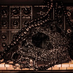 In the gloom of untold stories