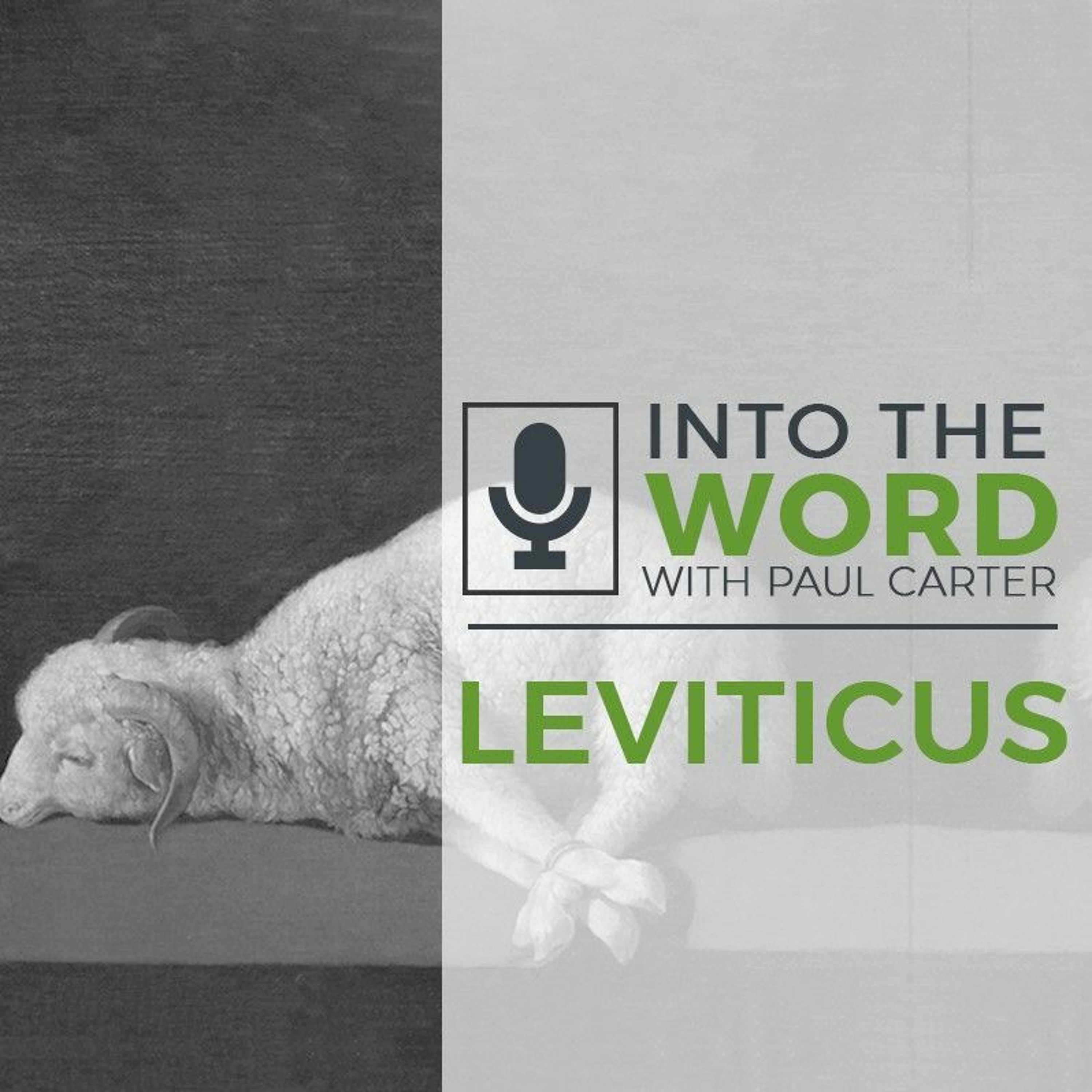 Leviticus 3