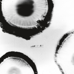 [MAGIC015] Anatta - Fields Of Play (Original)