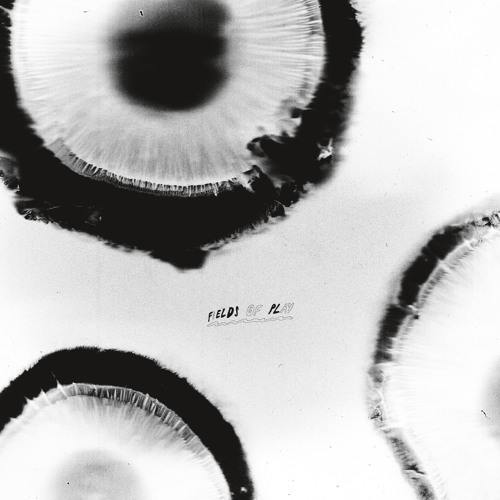 [MAGIC015] Anatta - Fields Of Play (Original)